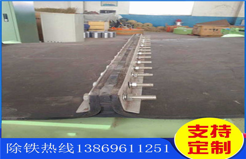 永磁除鐵器,青海永磁除鐵器距離皮帶高度_參數_內部磁塊安裝方法_青海永磁除鐵器距離皮帶高度規格型號價格 永磁除鐵器,青海永磁除鐵器距離皮帶高度_參數_內部磁塊安裝方法_青海永磁除鐵器距離皮帶高度規格型號價格